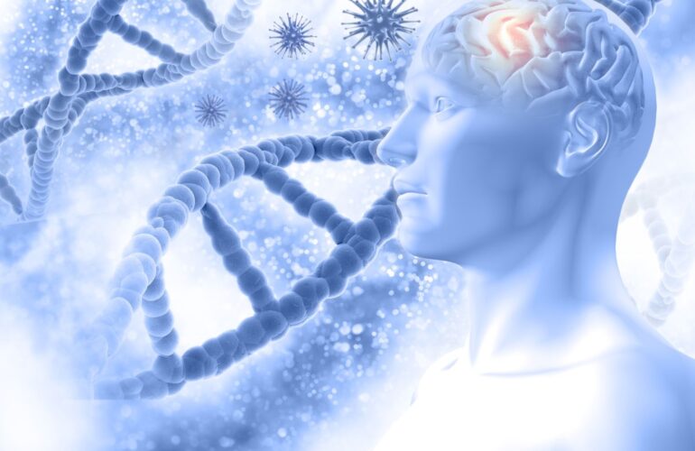 Sempatik ve parasempatik sinir sistemi