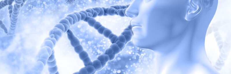 Sempatik ve parasempatik sinir sistemi