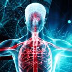 Otonom Sinir Sistemi Nedir? Görevleri, İşlevleri ve Bozuklukları