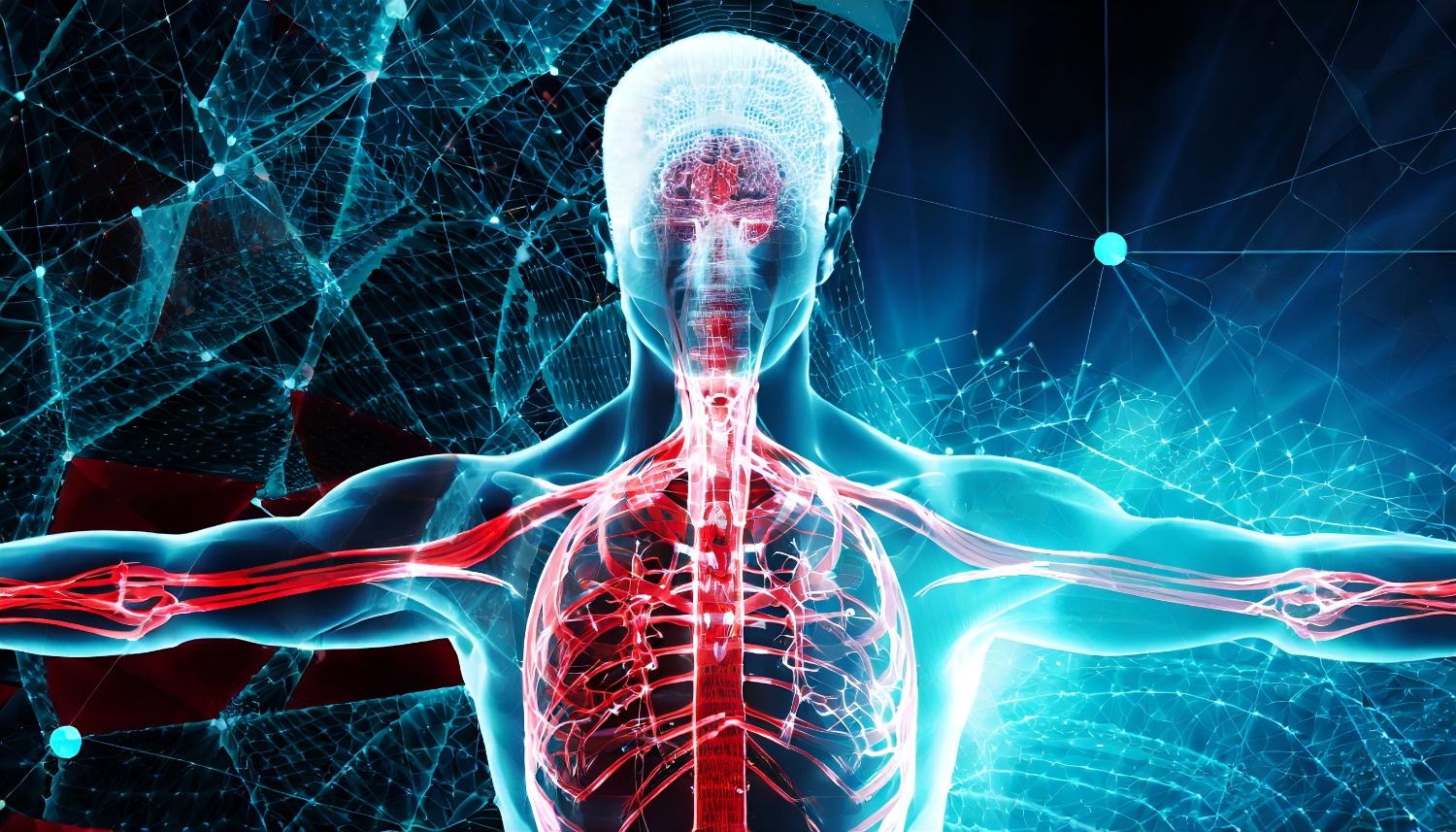 Otonom Sinir Sistemi Nedir? Görevleri, İşlevleri ve Bozuklukları