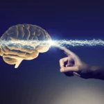 Beyin ve Sinir Sistemi Hakkında Bilmeniz Gerekenler