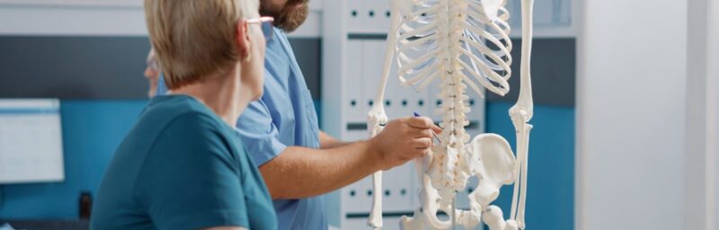 Bel düzleşmesi lomber lordoz kaybı omurga anatomisi