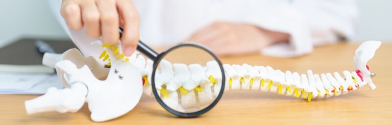 Kuyruk sokumu ağrısı tehlikeli belirtiler koksiks anatomisi