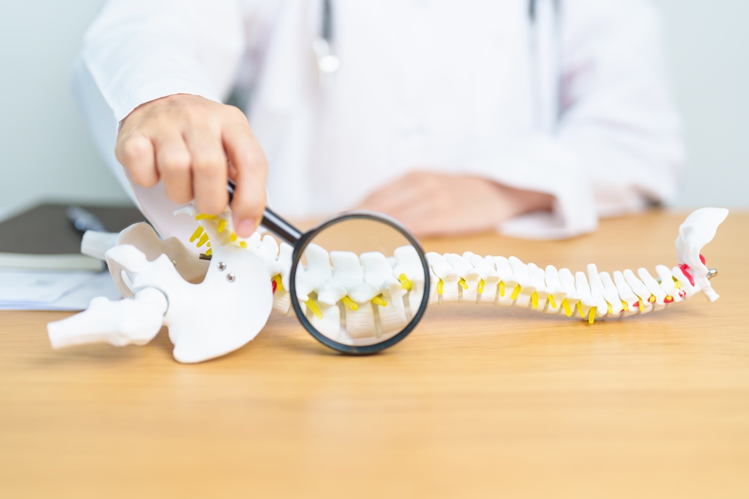 Kuyruk sokumu ağrısı tehlikeli belirtiler koksiks anatomisi